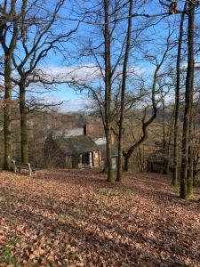 a house in the woods with leaves on the ground at Chalet cosy - terrasse et détente, escapade nature au Bonsoy in Waulsort