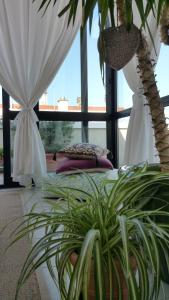 ミザーノ・アドリアーティコにあるCristina' s flatのベッドとヤシの木のある部屋