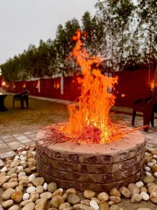 Gallery image of Niva Farms in Gurgaon +4 photos