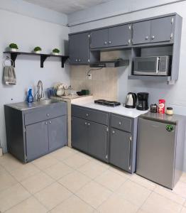a kitchen with gray cabinets and a sink and a stove at Departamento Completo en el Centro de Monterrey in Monterrey