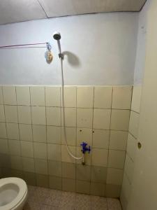 a bathroom with a shower with a toilet at Hatiku Guesthouse in Bunaken