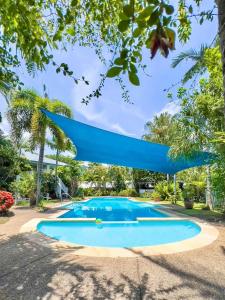 a blue swimming pool in a yard with trees at Tropic Haven in Airlie Beach +37 photos