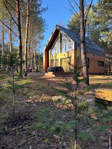 a house with a black roof in the woods at Kwiat Sosny in Pszczew