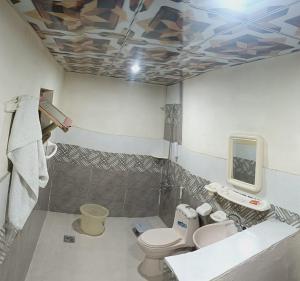 a bathroom with a toilet and a sink at The Crescent Resort in Skardu