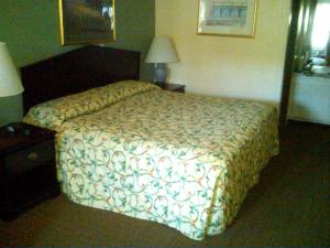 1 dormitorio con 1 cama en una habitación de hotel en Knights Inn - Battle Creek, en Battle Creek