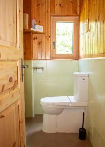 a bathroom with a toilet and a window at Almhütte Tamberger in der Feldpann-Alm in Rauth