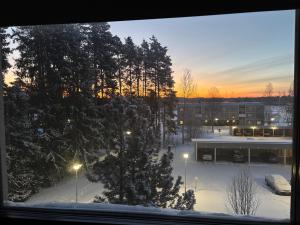 a view from a window of a snow covered parking lot at Kodikas kerrostaloyksiö in Jalasjärvi
