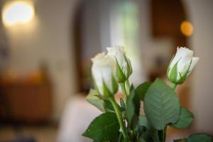 Fotografie z fotogalerie ubytování Bed and Breakfast Sweet Home v destinaci Tirano