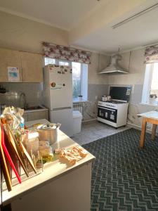 a kitchen with a white refrigerator and a counter top at Snow Leopard Hostel in Karakol