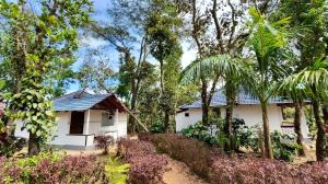 a white house in the middle of a forest at Hidden Roots Sakleshpur in Hanbalu