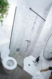 a bathroom with a toilet and a shower and a sink at Lumena - Kingsize Beds, ultracentral, 80mp in Topliţa +20 photos