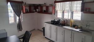 a kitchen with a counter and a sink and windows at YaNuYaNu Appartment Nabua in Suva +12 photos