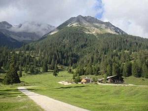 a mountain with a house in the middle of a field at Lippenhof in Leutasch
