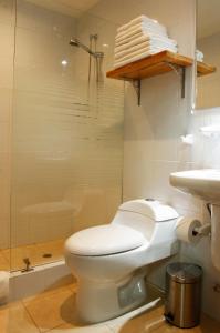 a bathroom with a toilet and a shower at Casa Taller Ramirez in Playas