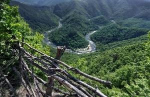 a view of a river in a valley with trees at Hotel Izvorat Arda - Хотел Изворът Арда in Arda