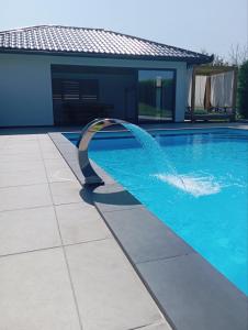 a swimming pool with a fountain in a house at Villa Rustic in Majetići +45 photos
