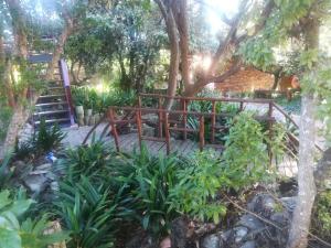 a wooden bridge in a garden with plants at Timber and Tide in Cannon Rocks