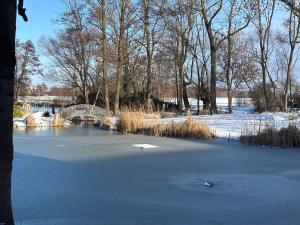 a frozen pond with a bridge and trees and snow at Ferienwohnung Domaene Kermen in Kermen