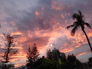 a sunset with a palm tree and a cloudy sky at Paddock Shack in Carool