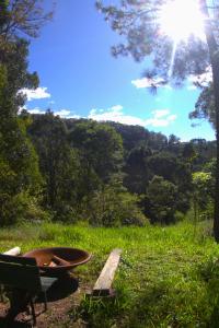 a hammock and a bench in a field with a tree at Paddock Shack in Carool +3 photos