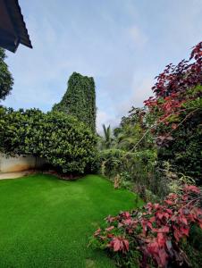 a garden with green grass and bushes at Prasada Resort in Badulla