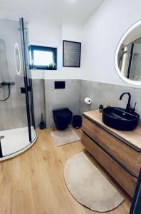 a bathroom with a sink and a toilet and a shower at Moosmühle Weitnau in Weitnau +32 photos