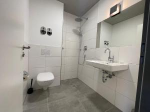 a bathroom with a toilet and a sink at Apartmenthaus MK Immobilien in Stuttgart +57 photos