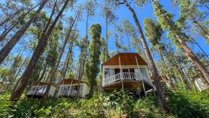 two tree houses in the woods with trees in the background at La Pino Mount Batur and Hot Spring in Bangli