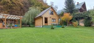 a wooden house in a yard with a yard at Cabana dintre vai Strungari in Plaiuri