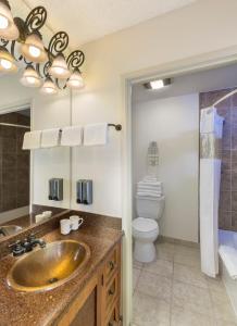 a bathroom with a sink and a toilet at Lake Powell Resort in Page