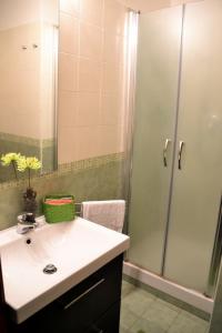 La salle de bains est pourvue d'un lavabo et d'une douche. dans l'établissement B&B Di Leo, à Rome