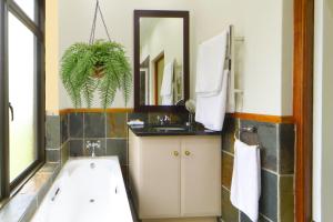 a bathroom with a tub and a sink and a mirror at Elgin Farm Dullstroom in Dullstroom +14 photos
