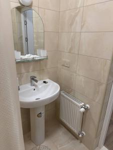 a bathroom with a sink and a mirror at Надія in Khlibodarske