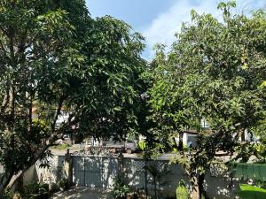 a fence with trees in front of a house at Hikka Residence 98 in Hikkaduwa