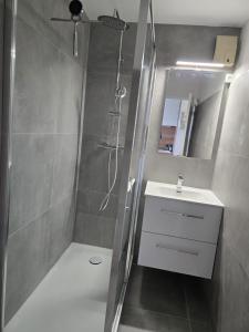 a bathroom with a shower with a sink and a shower at Studio cabine Meublé de Tourisme 2 étoiles in Balaruc-les-Bains +5 photos