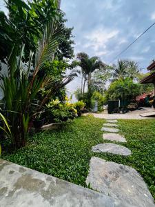 a walkway with rocks and plants in a yard at Ancy Villa in Dickwella