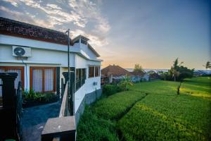 a house with a grass yard next to a building at Eric Dolphin Villa in Lovina