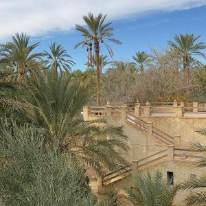a building with stairs and a palm tree in the background at Sahara Lounge in Tozeur +20 photos