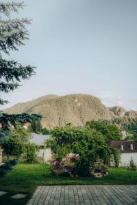 a house with a mountain in the background at Casa Cheile Dâmbovicioarei - Cabana 3 in Podu Dîmboviţei