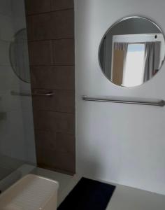 a bathroom with a mirror and a toilet at Antwerp West Side, Fireplace in Zwijndrecht