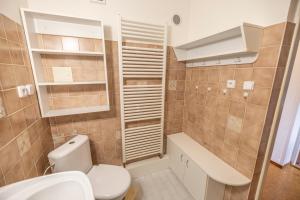 a small bathroom with a toilet and a sink at Apartmán Absolon Blansko in Blansko +9 photos