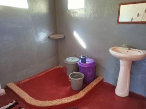 a small bathroom with a sink and a toilet at Ecolodge d'Isalo in Ranohira