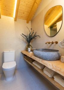 a bathroom with a toilet and a tub with a mirror at Lobo do Mar in Viana do Castelo