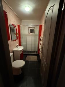 a small bathroom with a toilet and a sink at Turda central apartament in Turda