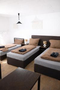 a room with four beds and a couch at Cozy Apartment Hideaway 170 qm - 5 min zur Autobahn - Self Check-In in Büdingen