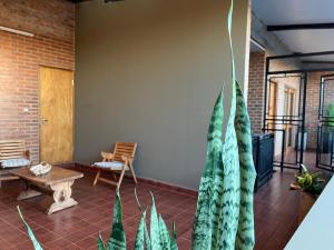 a patio with plants and a table and a chair at Argerich in Eldorado