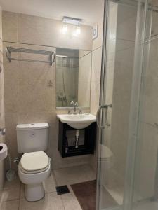 a bathroom with a toilet and a sink and a shower at Puerto Amarras II 01 in Santa Fe