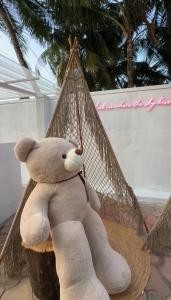 a stuffed teddy bear sitting in a hammock at Teddy in Malpe