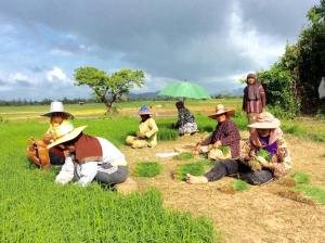 Hosté ubytování Baan Anattaya Koh yao noi