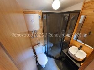 a bathroom with a toilet and a sink at Apartments Ostojic in Mokra Gora